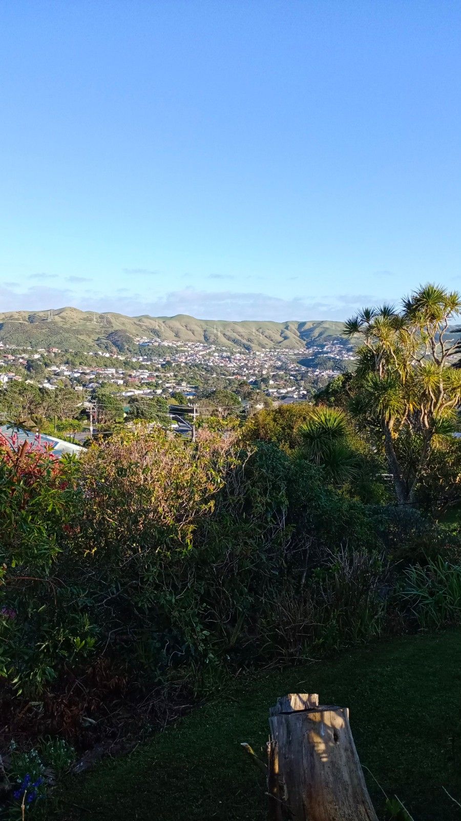 Boarder       - Paparangi (near Johnsonville and Churton Park)
