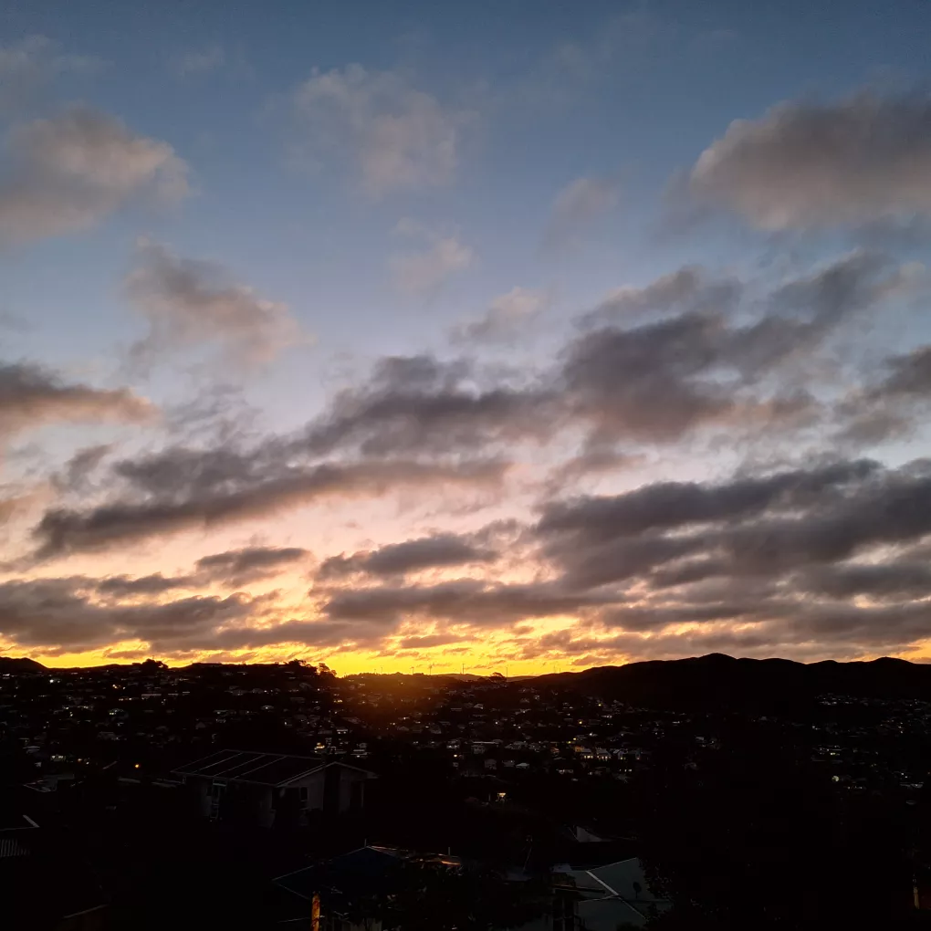 Boarder       - Paparangi (near Johnsonville and Churton Park)