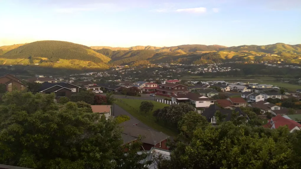 Bb Flat of Tawa