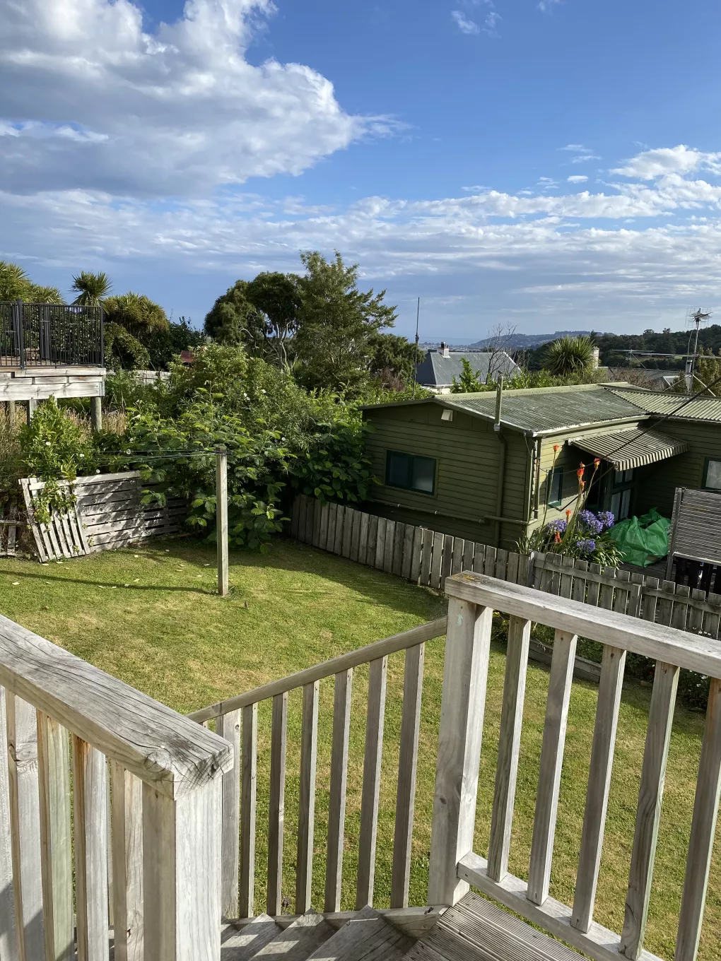 33 Orbell Street
