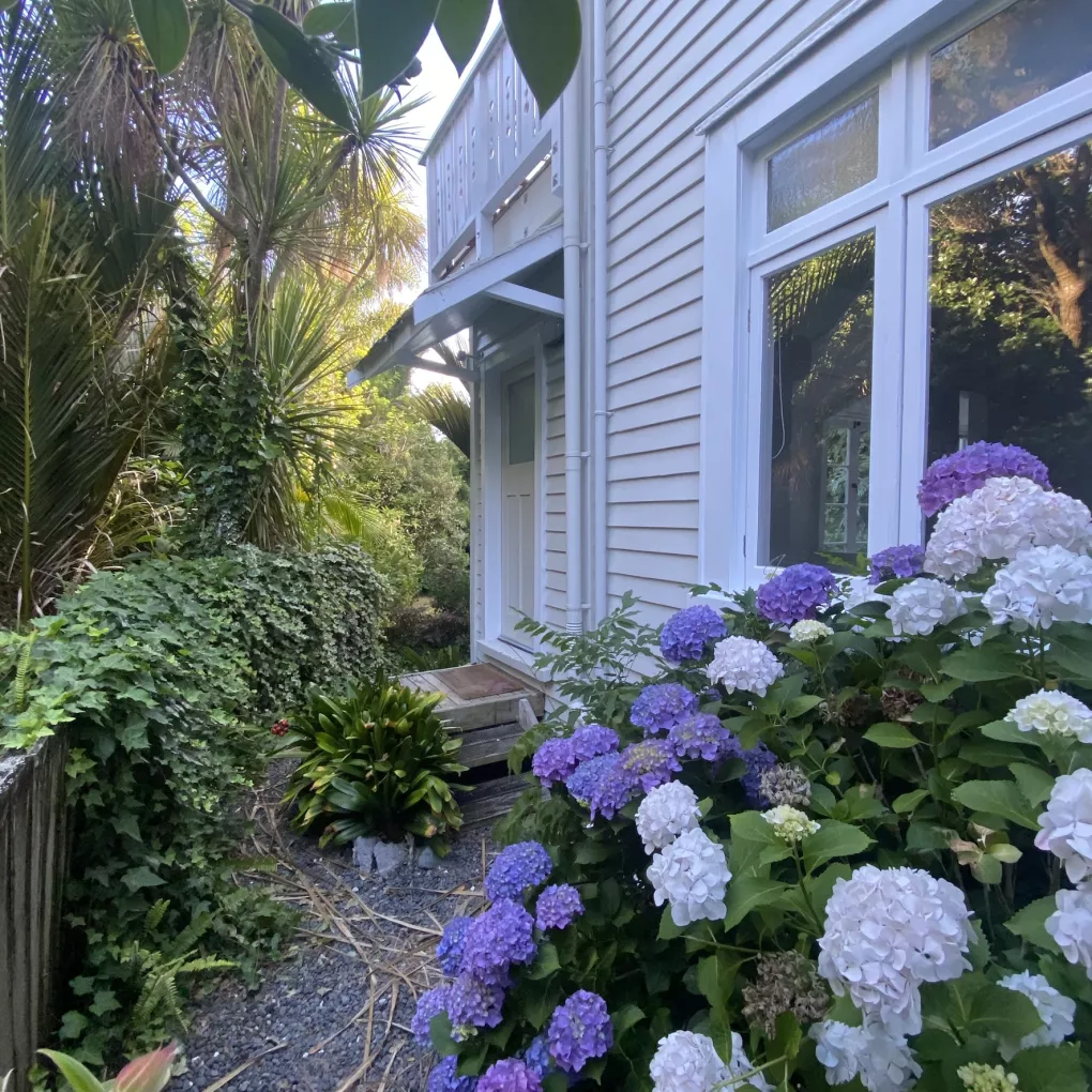 65 Balmoral Road