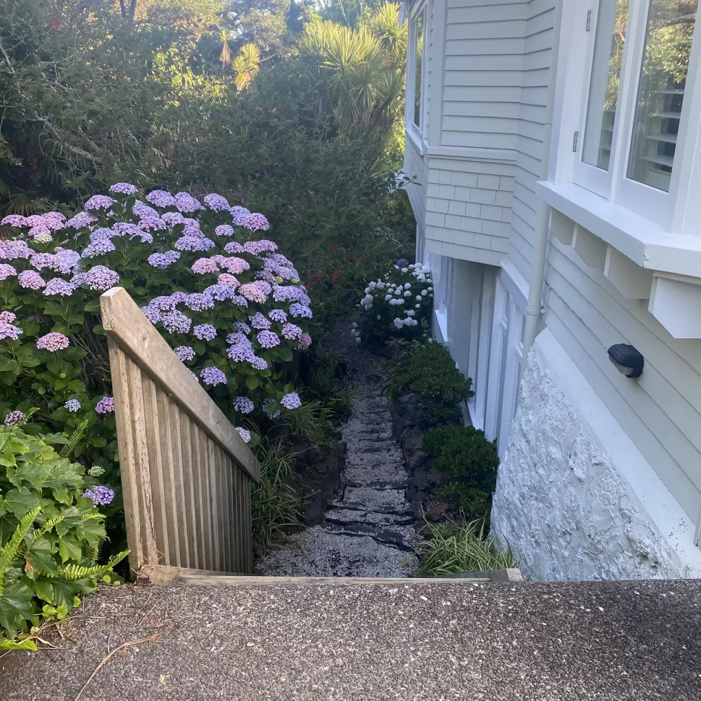 65 Balmoral Road